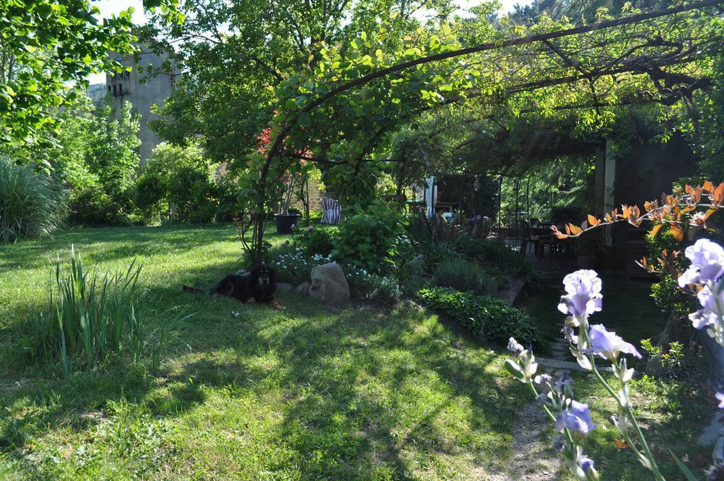La Ribeyrette Bed & Breakfast Chamborigaud Bagian luar foto